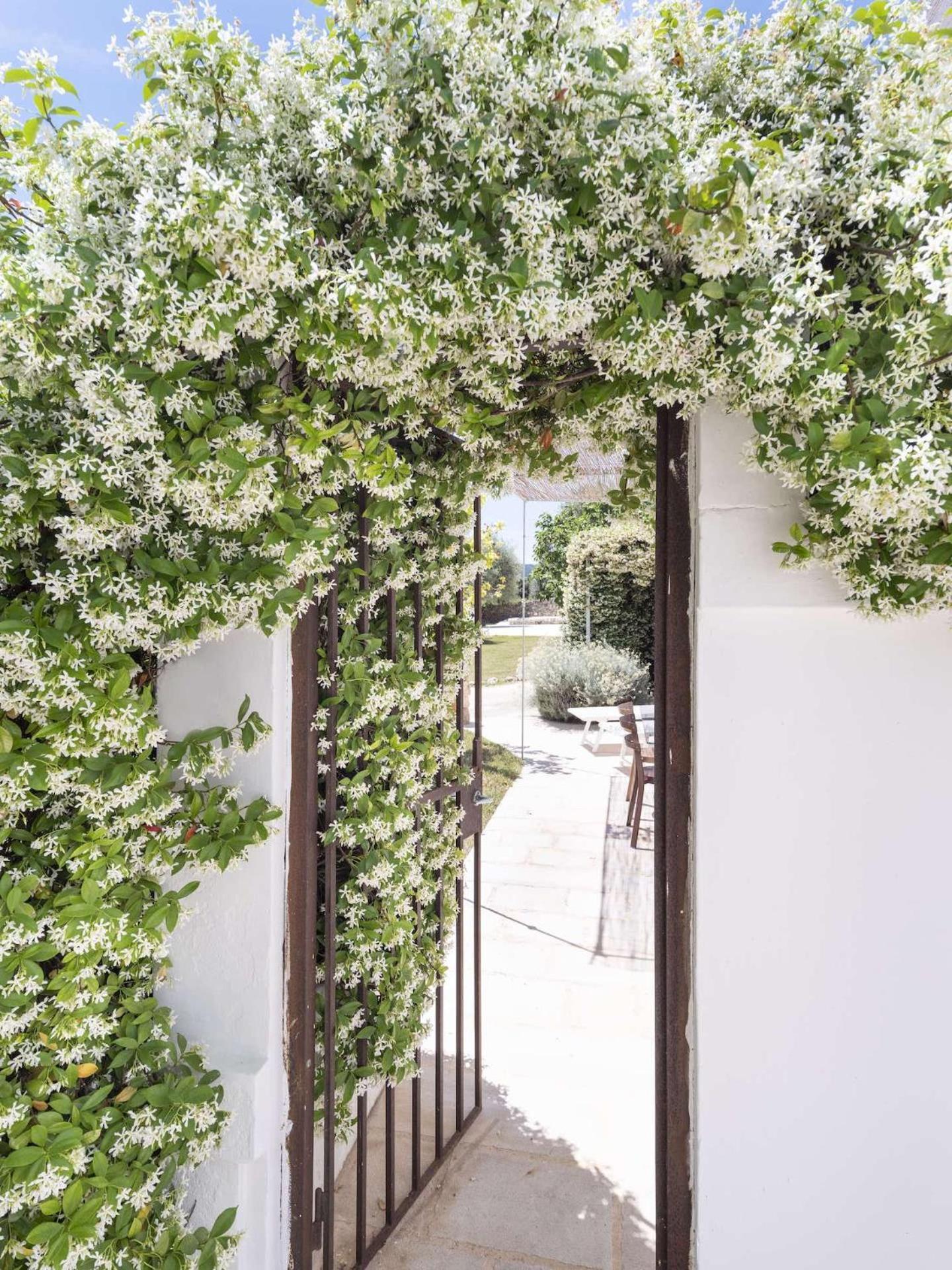 Masseria Alchimia Фазано Екстериор снимка